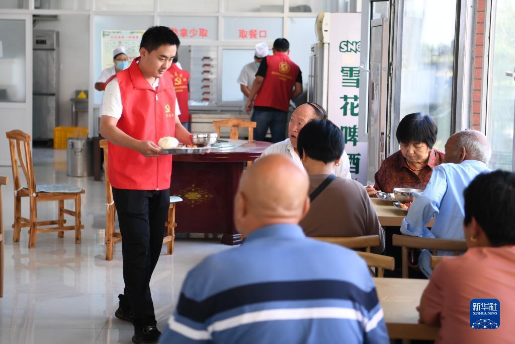白菜注册验证手机号领